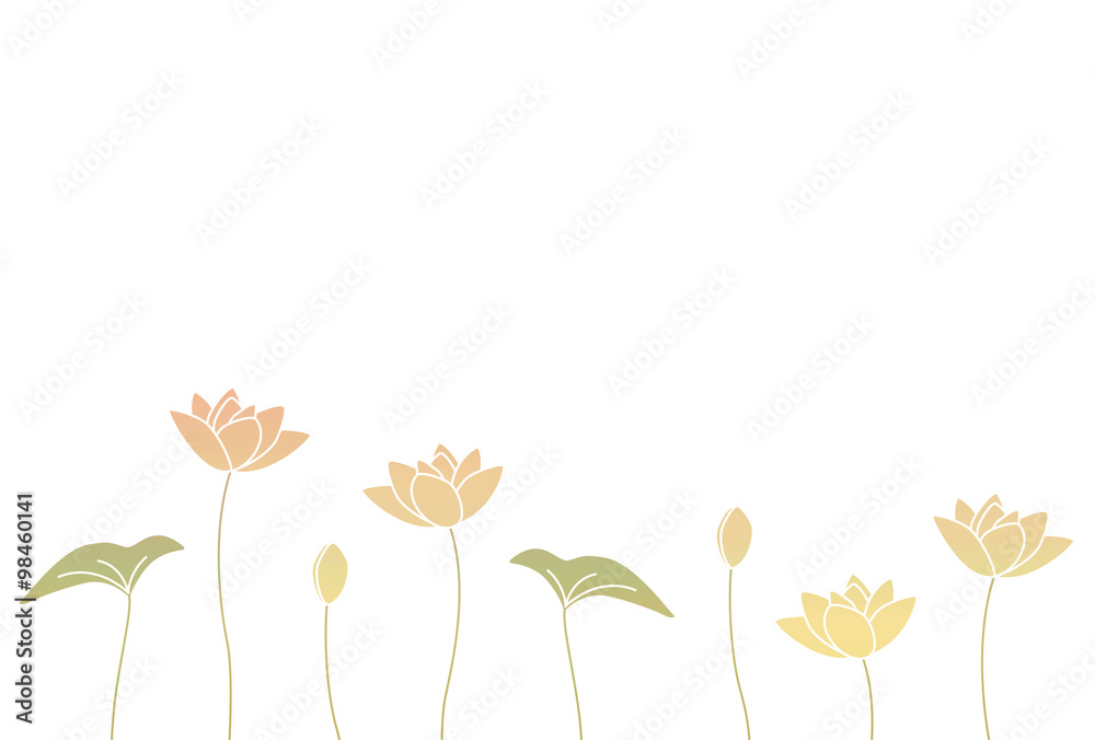 蓮の花と葉 Stock イラスト Adobe Stock