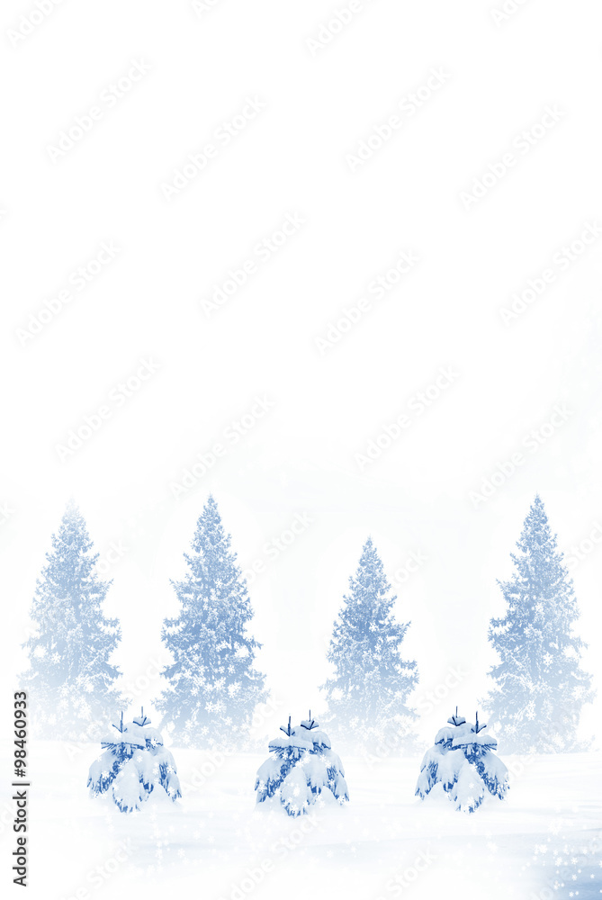 Winter forest. Winter landscape. New Year card
