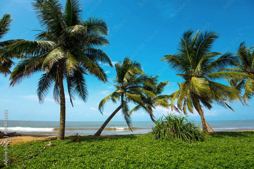 Beaches in Sri Lanka