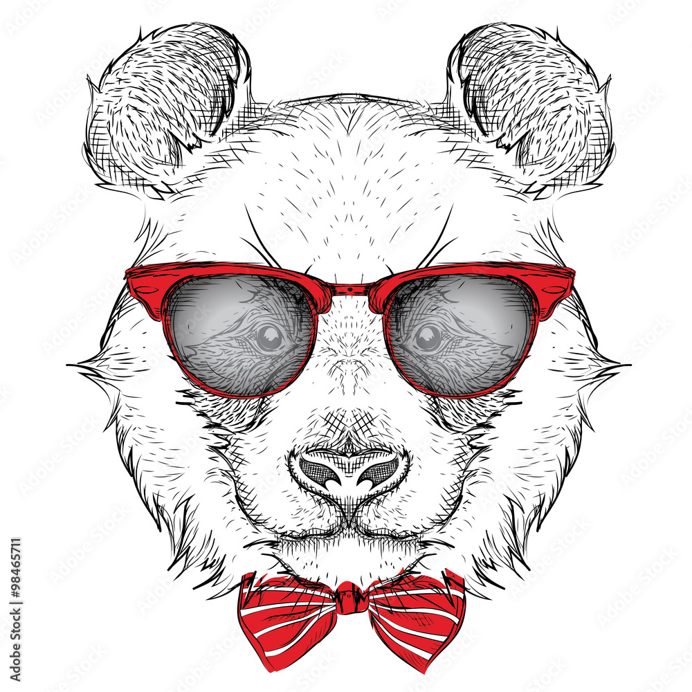 Obraz premium Image Portrait panda in the cravat and with glasses. Hand draw vector illustration.