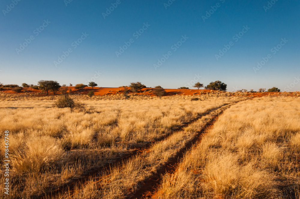 Sandpiste in der Kalahari, Namibia, Abendstimmung
