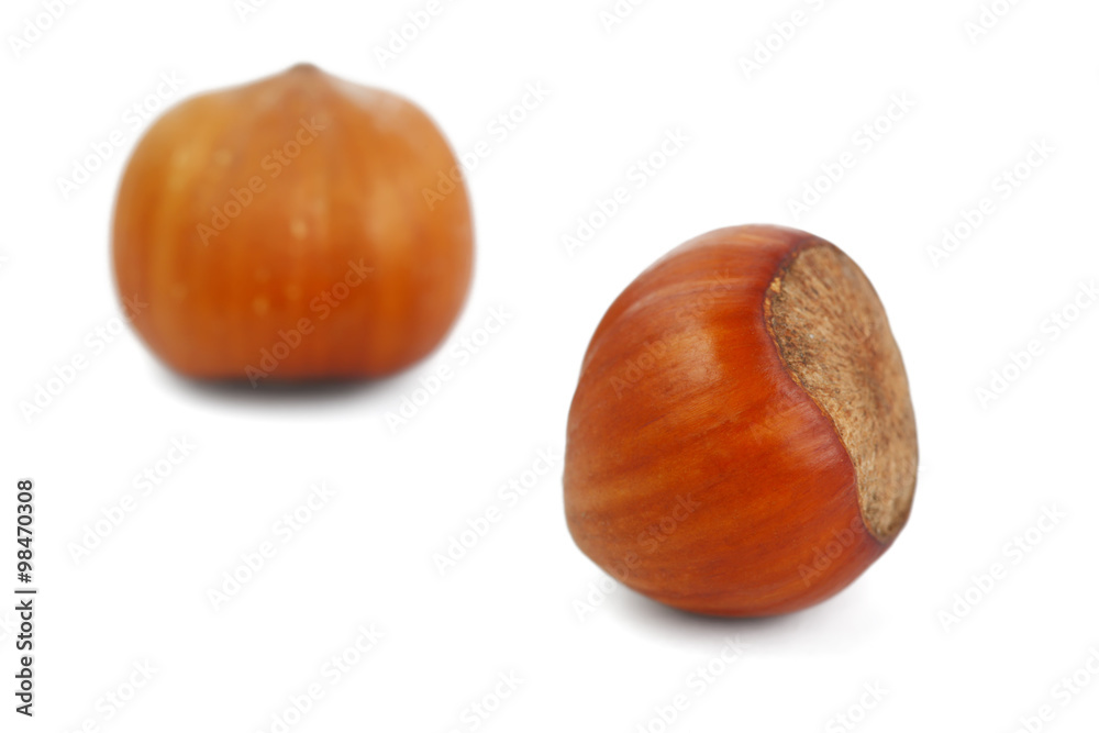 Raw hazelnut Raw hazelnut