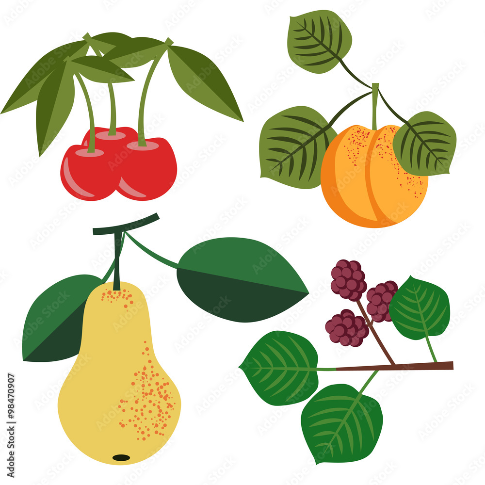 Obraz premium Vector fruits set