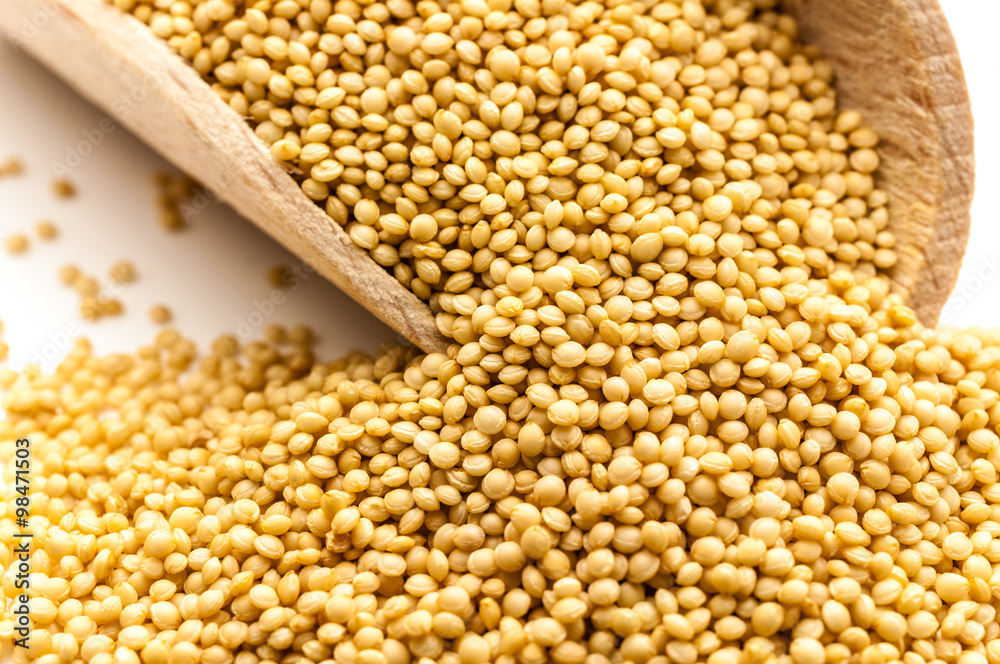 Amaranth freigestellt 