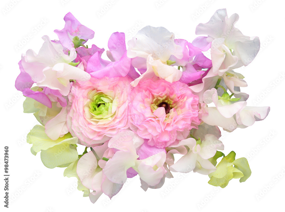 Fototapeta premium ラナンキュラスとスイートピー