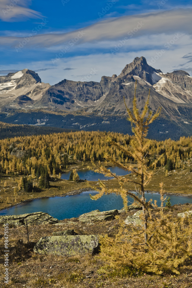 scenic autumn view of mountains in Yoho national park