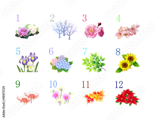 12か月季節の植物