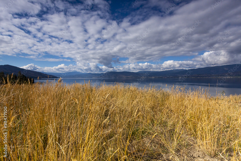 Fototapeta premium Dry Grasslands Above Mountain lake