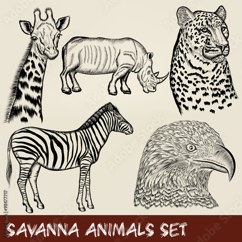 Vector set of hand drawn detailed African animals