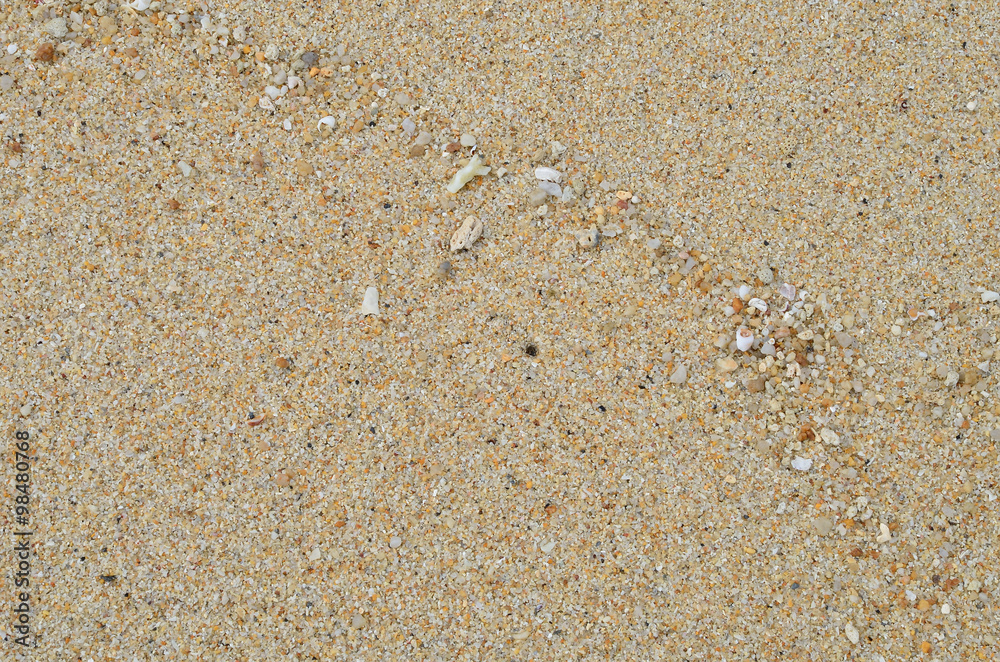 Sand beach with sea shell texture background. Sand beach with sea shell texture background.