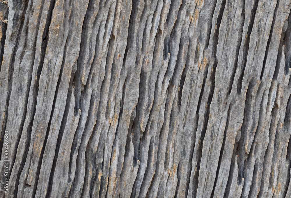 Isolate the art of the old wood texture.Selective focus with shallow depth of field. Isolate the art of the old wood texture.Selective focus with shallow depth of field.