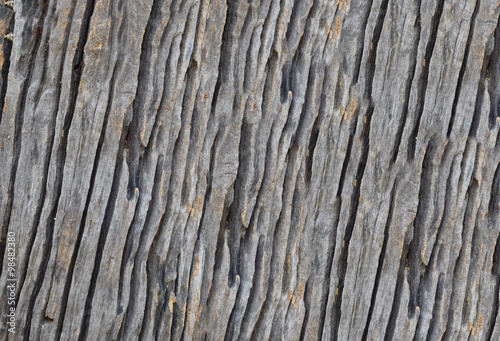 Isolate the art of the old wood texture.Selective focus with shallow depth of field.