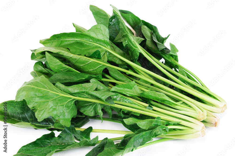 fresh green spinach on white background fresh green spinach on white background