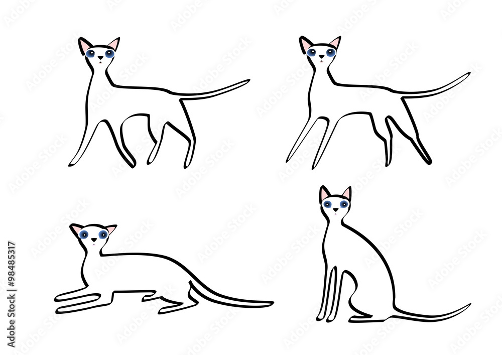 白い猫のポーズイラストセット Stock Illustration Adobe Stock