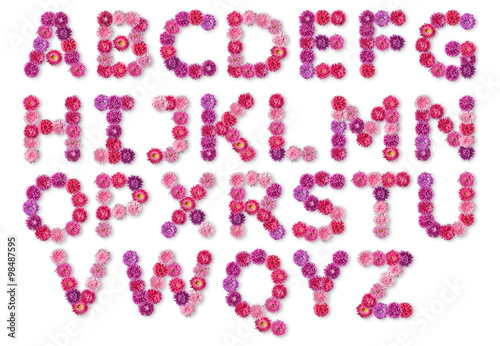 English alphabet from colorful flowers asters on a white backgro