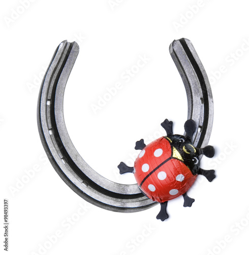 Hufeisen mit Maikäfer