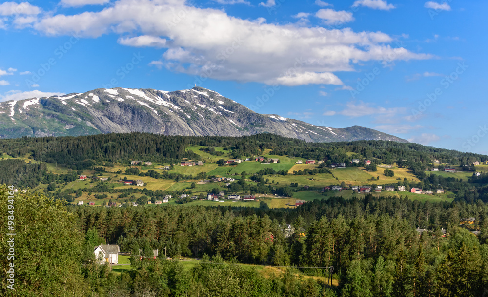Fototapeta premium Scandinavian summer rural view from the hill