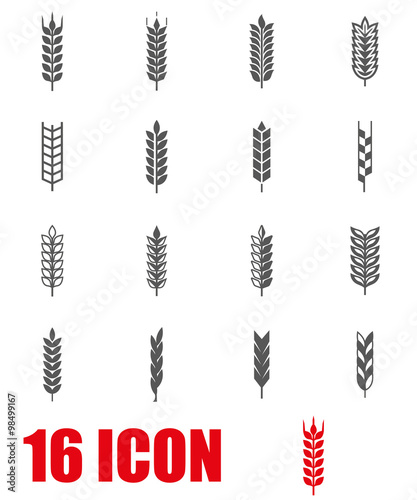 Vector grey wheat ear icon set