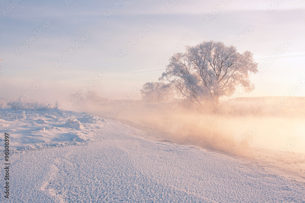 Winter sunlight illuminates frosty tree and frozen river