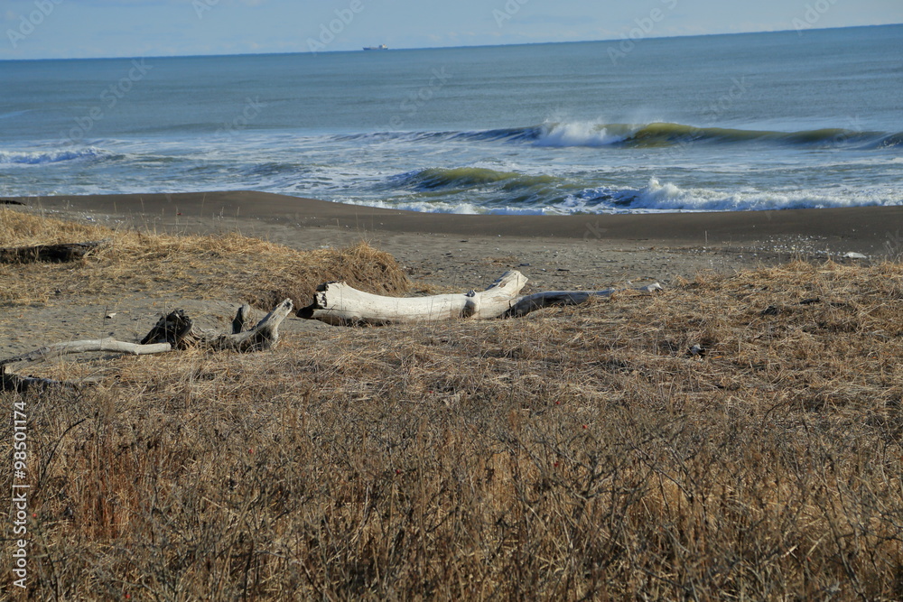 Coast in Kushiro, Hokkaido suburbs. Coast in Kushiro, Hokkaido suburbs.