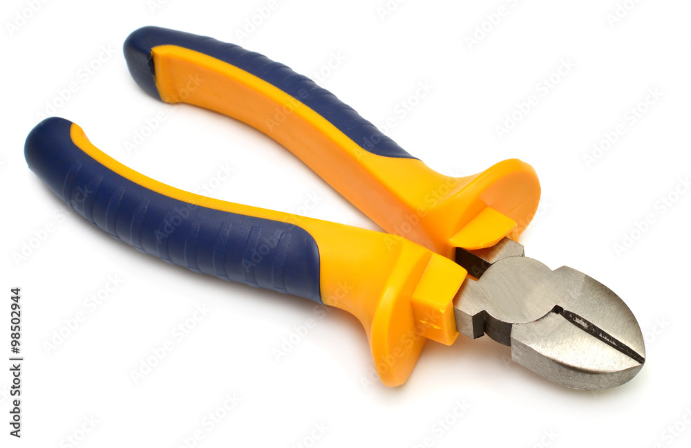 Obraz premium Yellow nipper