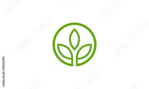 abstract green leaf company logo © christopherart