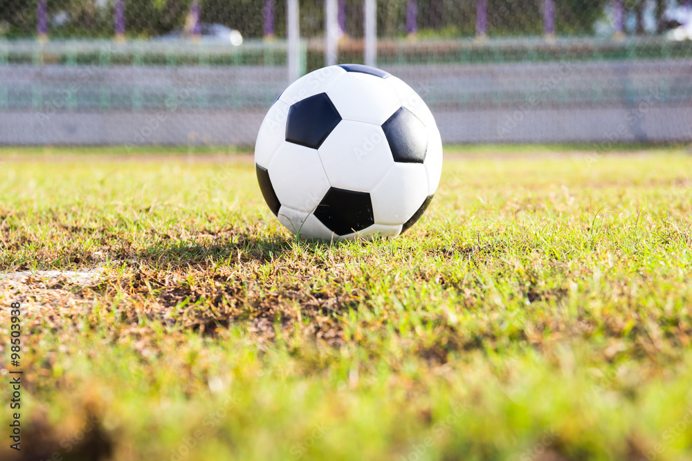 Fototapeta premium Close up soccer ball on field