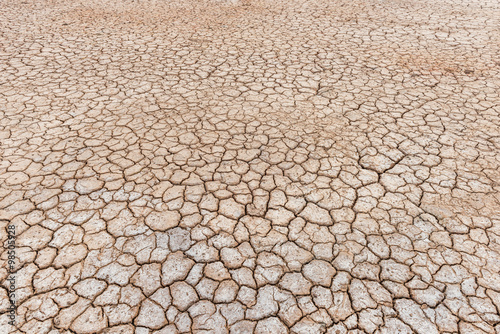 crack ground in dry season