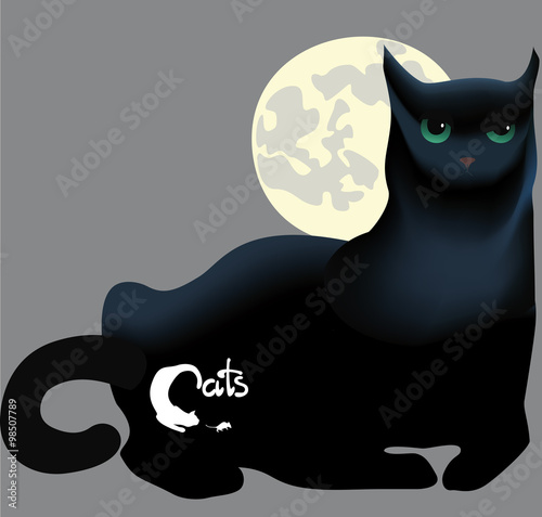  lying black cat against the moon, the inscription and symbols