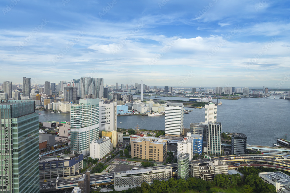 Tokyo Skyline, Cityscape of Tokyo City, Japan - Tokyo is the wor
