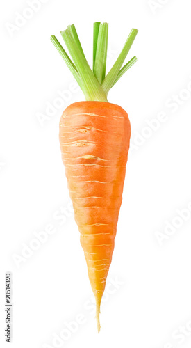 Obraz na płótnie One isolated carrot