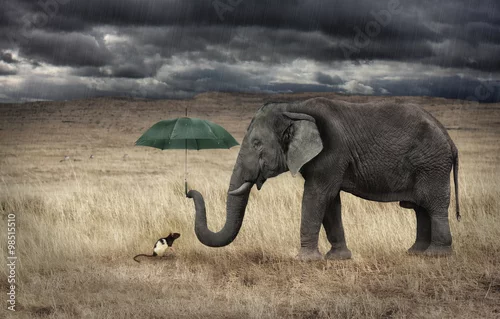 Obraz Elefante che protegge un topolino
