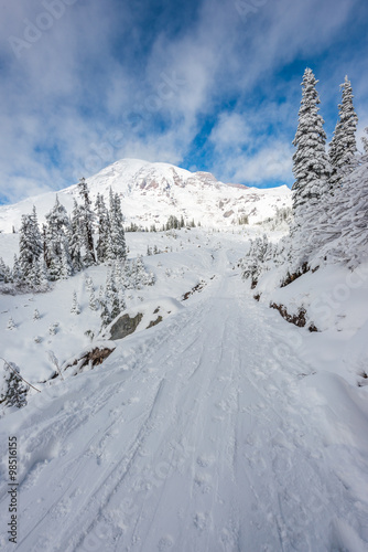 a path cover with snow in paradise area,scenic view of mt Rainier,Washington,USA.