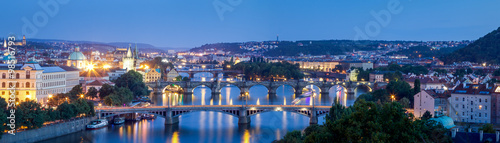 Prague bridges from Letna park 