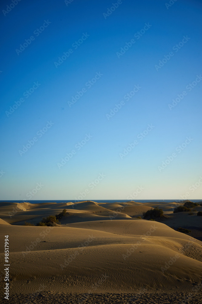 Fototapeta premium Brown Dunes of large beach under blue sky / Large sandy dunes in a wide desert next to southbeach of Gran Canaria
