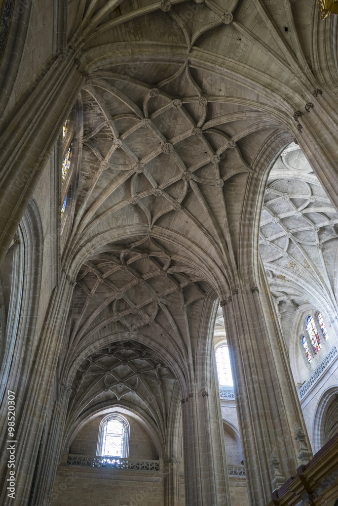 Cupola, Interior of gothic cathedral of Segovia in Spain