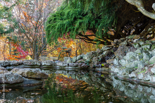 Fototapeta Naklejka Na Ścianę i Meble -  Leaves turning colors by a reflecting garden pond in Autumn