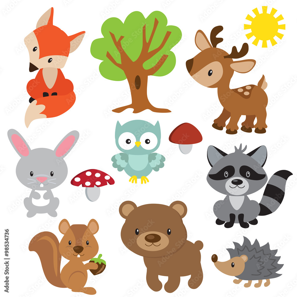 Forest animals vector illustration
