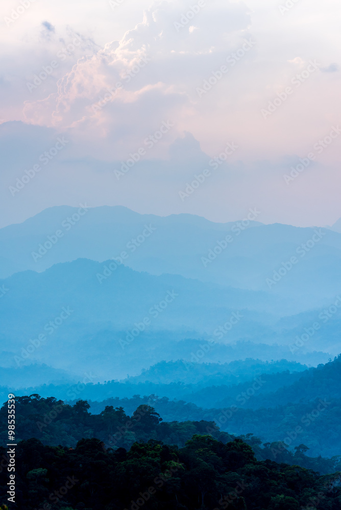 The Jungle at Kaengkrachan National Park in Thailand.