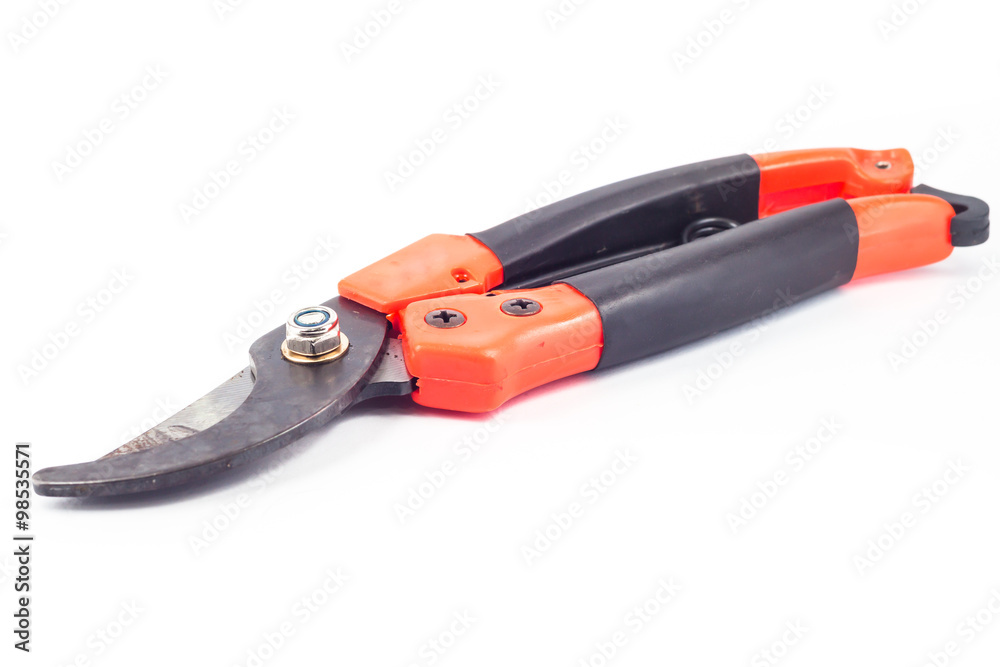 Pruner isolated on white background Pruner isolated on white background