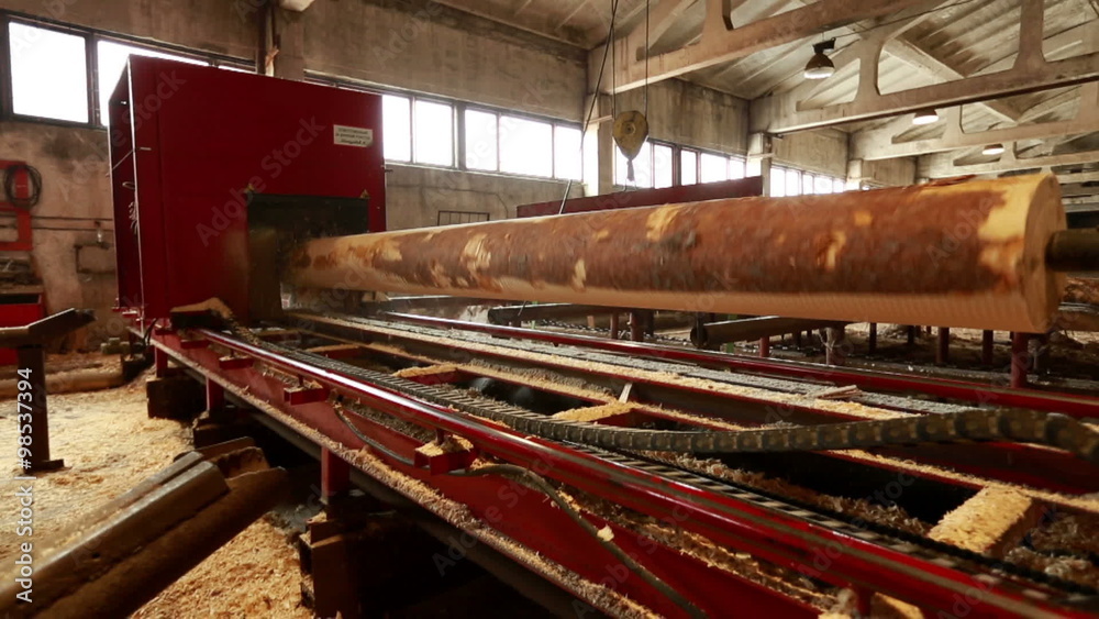 Woodworking. Log spinning at cylindering machine Woodworking. Log spinning at cylindering machine