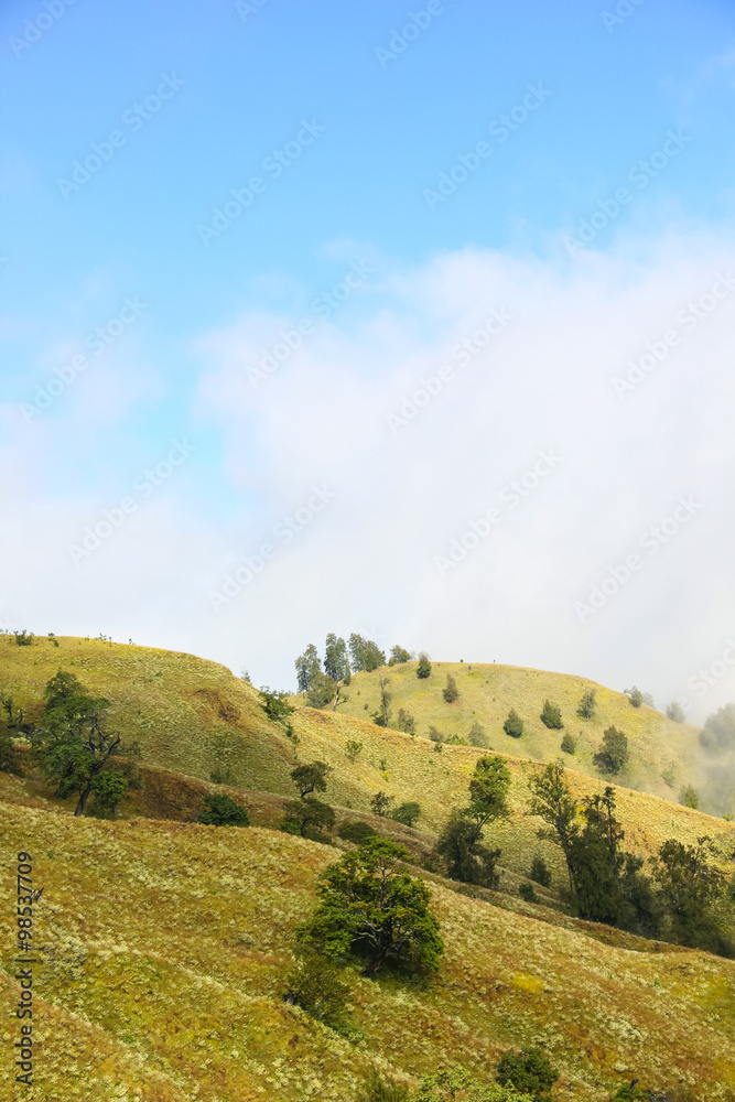 Obraz premium Krajobraz na górze