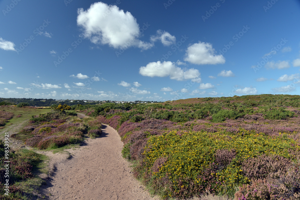 View from Portelet Common of Saint Brelades Bay, Jersey