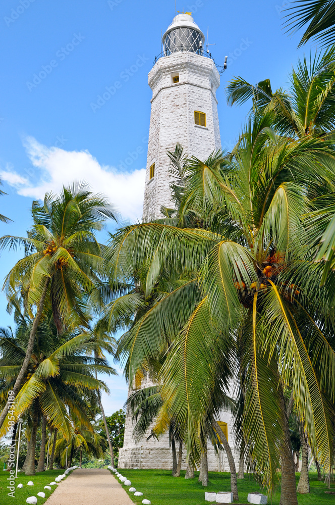 lighthouse and tropical palms, Sri Lanka Matara