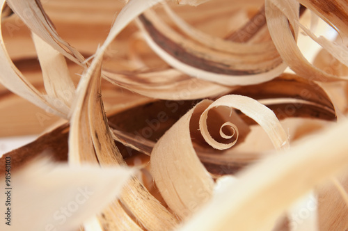 Wood Bark