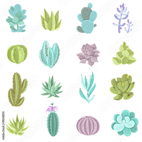 Cactus Icons Set 