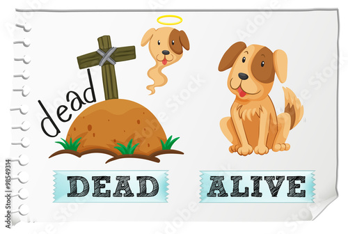 Opposite adjectives dead and alive © blueringmedia