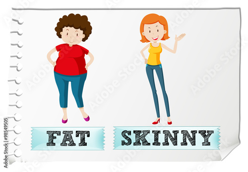 Opposite adjectives fat and skinny