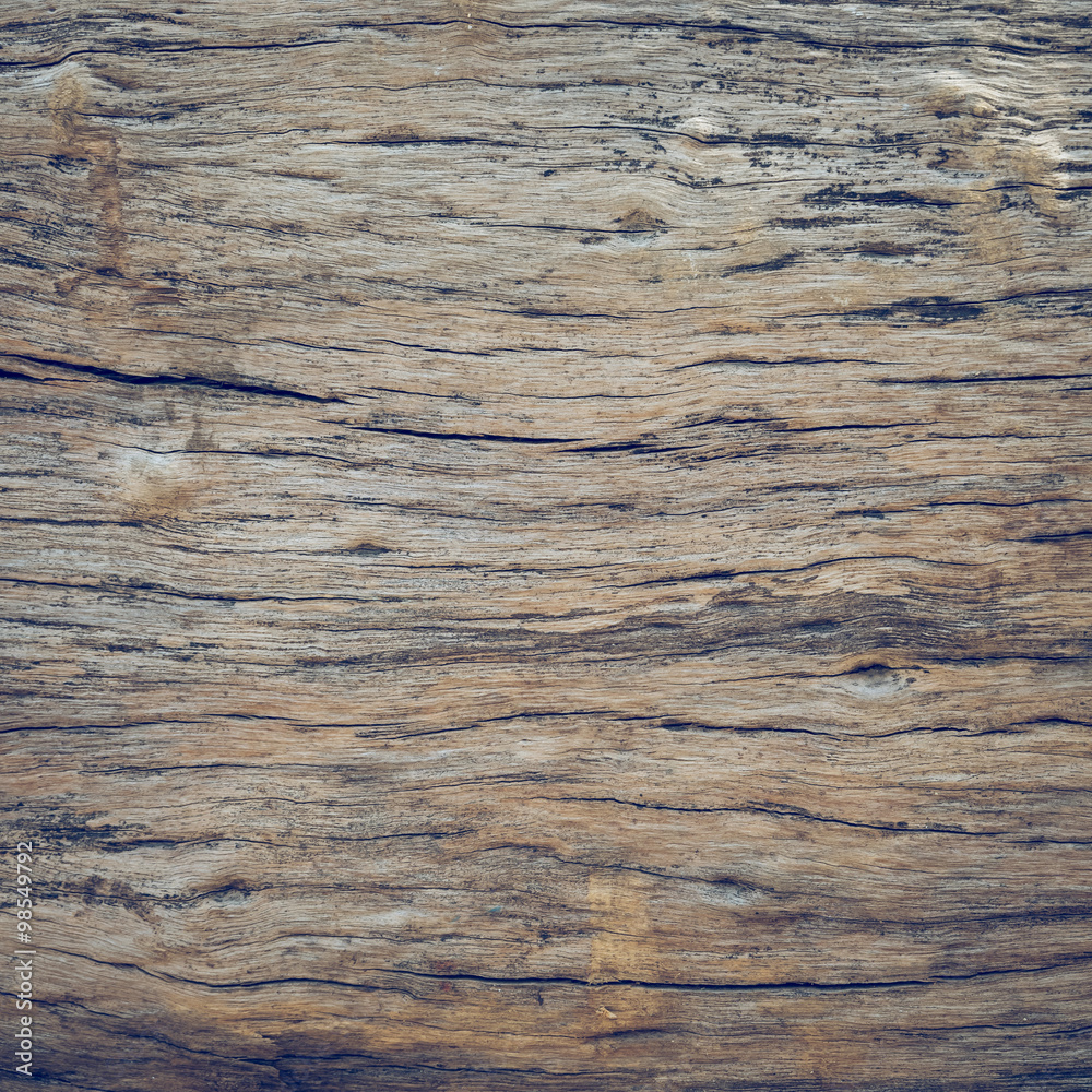 dry skin wood texture of aged hardwood background
