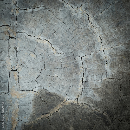 annual ring wood crack damage texture background
